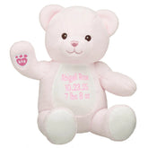 Personalized Embroidered Baby Pink Teddy Bear